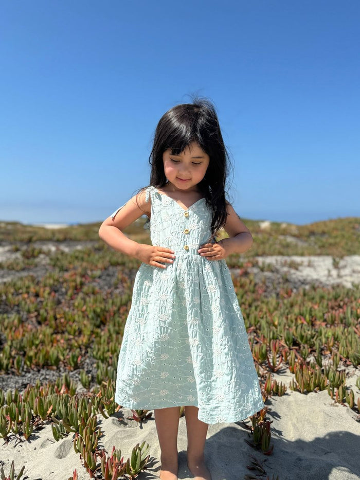 VIGNETTE PENNY DRESS BLUE DANDELION EYELET