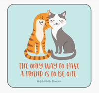 LUNCH BOX NOTEWORTHY KINDNESS