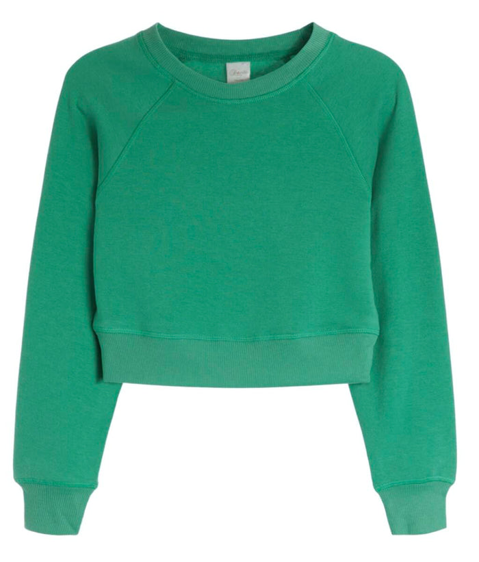 SUZETTE COLLECTION SOFT CLOUD CREW NECK GREEN