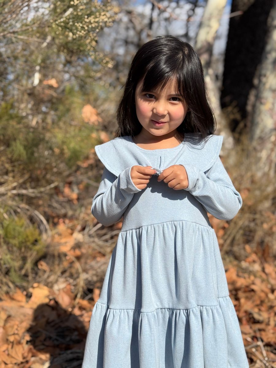 VIGNETTE GIRLS JENNY DRESS BLUE