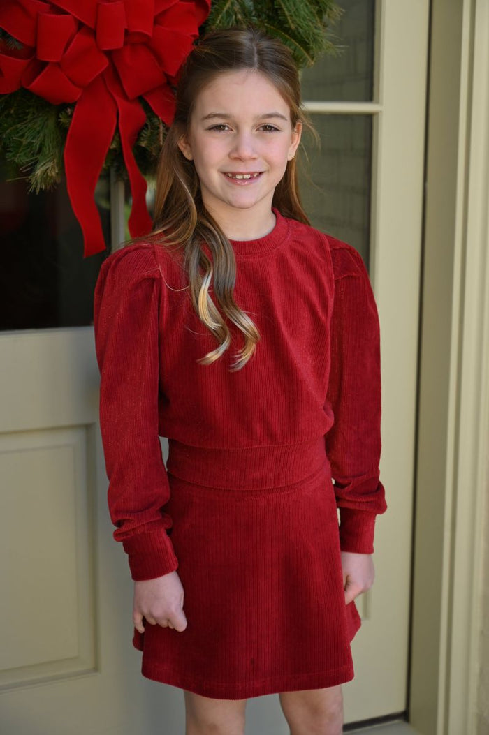 Libba Skirt Red Velour