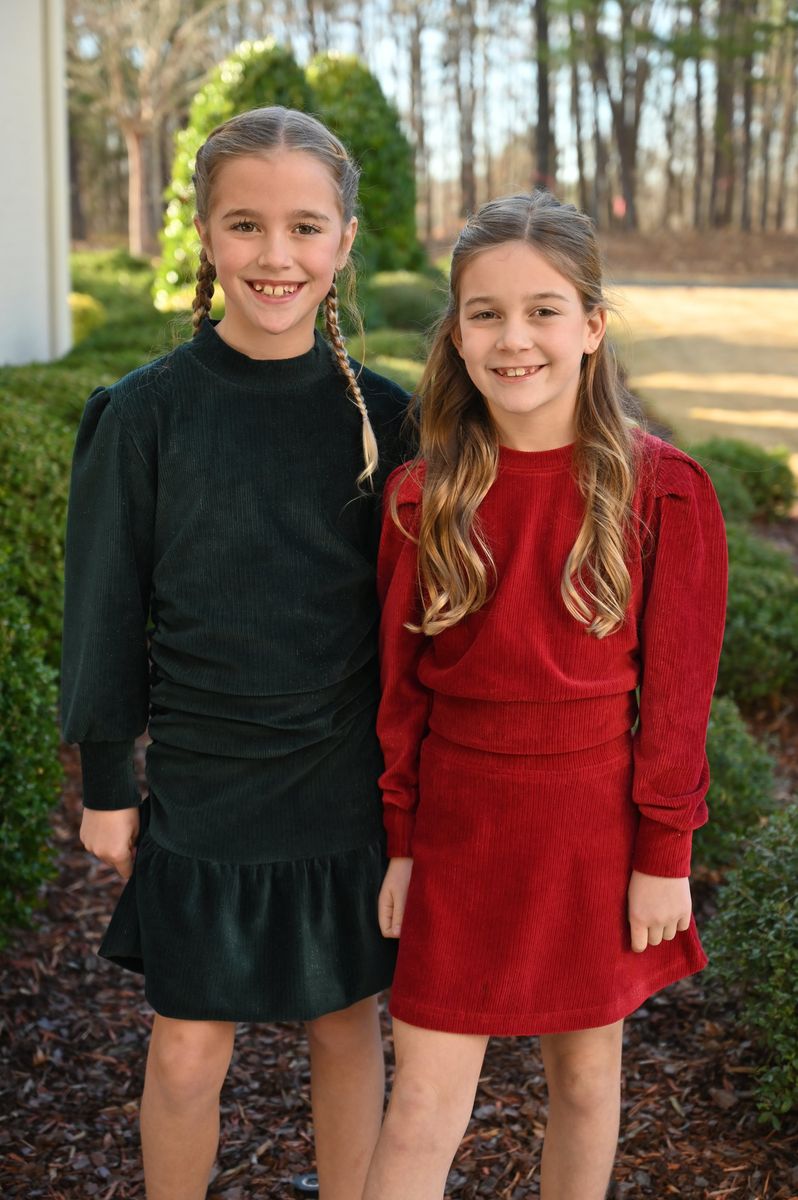 Libba Skirt Red Velour