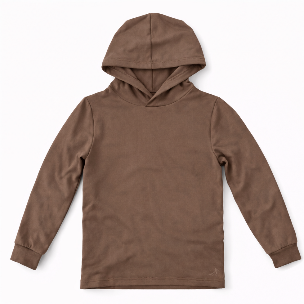 A solid brown long-sleeve hooded sweatshirt, shown flat against a plain white background.