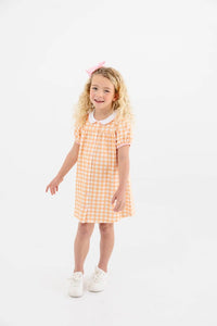 Tabitha's teachers Pet Dress Seashore Sherbet Gingham