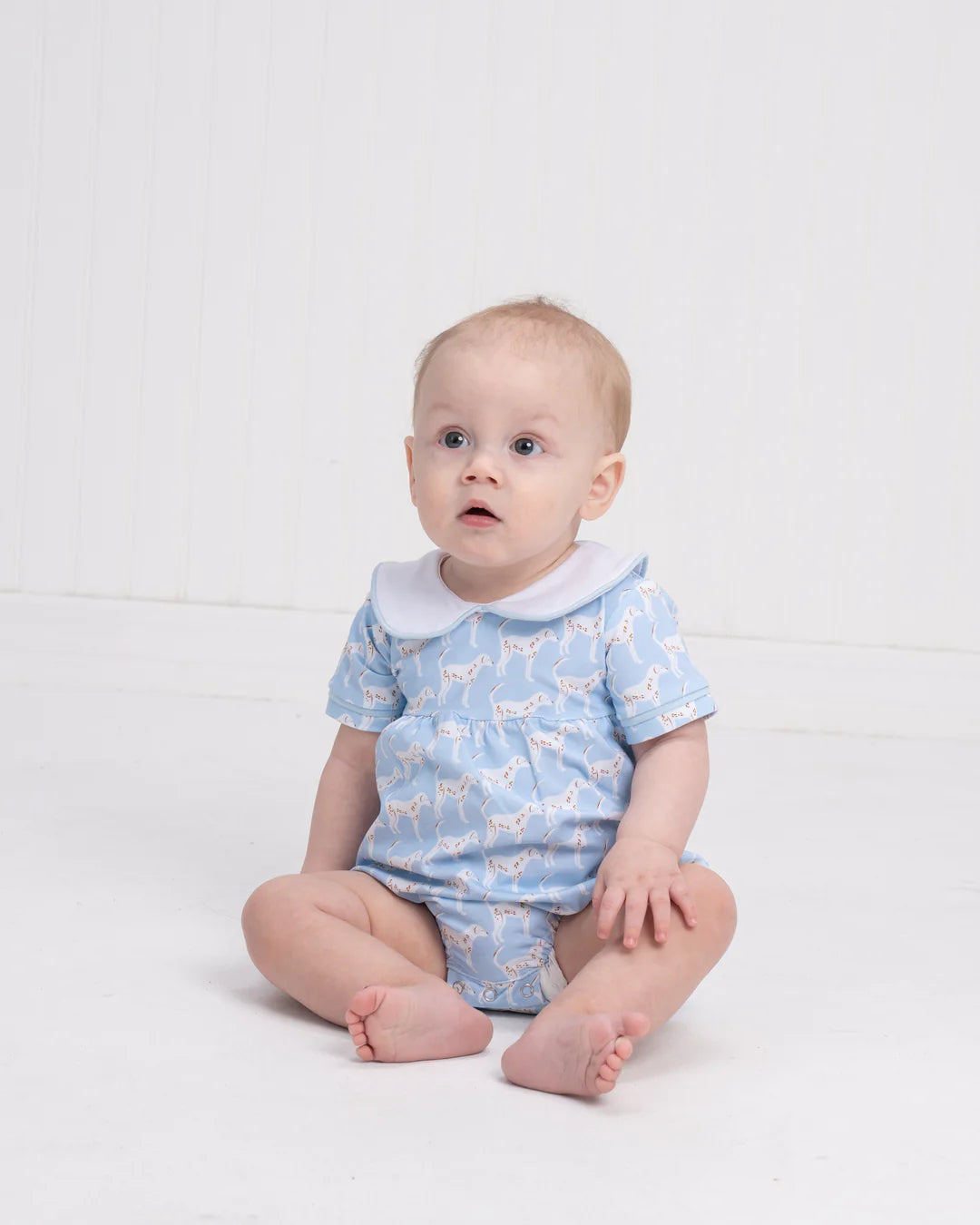 HANK DOG DAYS BUBBLE