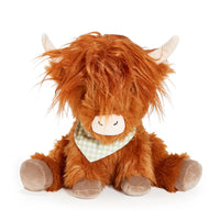 HARRISH THE HIGHLAND COW