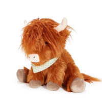 HARRISH THE HIGHLAND COW