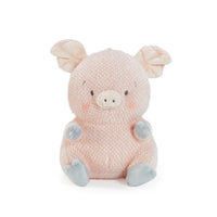 Baby Hammie the Pig