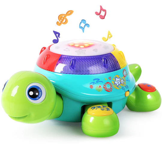 IPLAY ILEARN MUSIC TURTLE