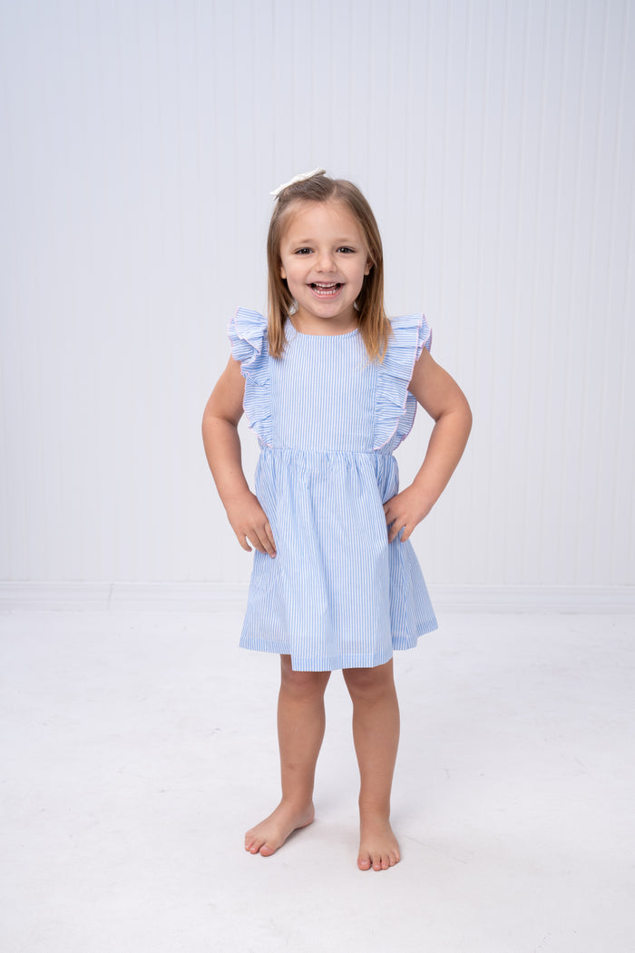 THE OAKS FAYE DRESS LIGHT BLUE STRIPE WITH PINK