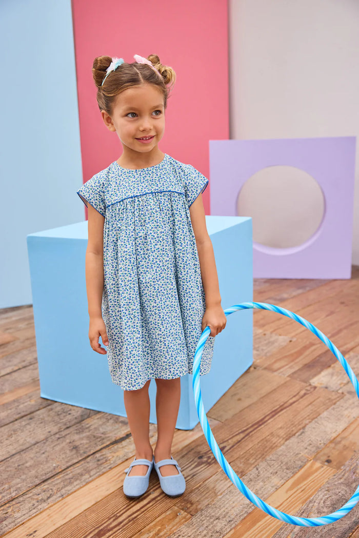 BISBY CHARLOTTE DRESS DILLON DITSY