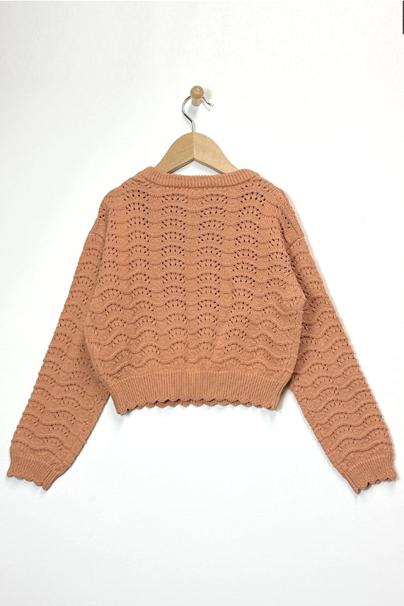 HEART AND ARROW TWEEN CREWNECK WAVY POINTELLE SWEATER RUST