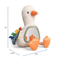 Itzy Bitzy Mirror™ Sensory Tummy Time Mirror Goose