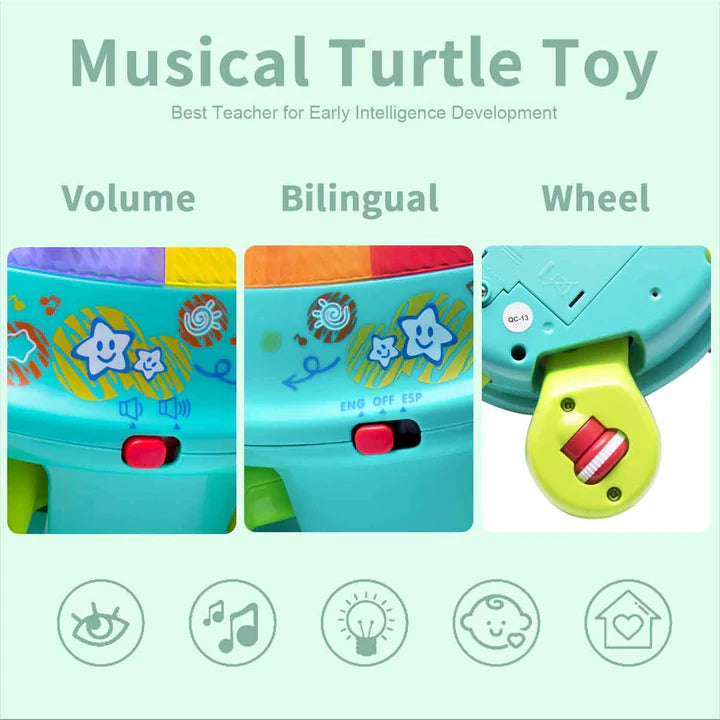 IPLAY ILEARN MUSIC TURTLE