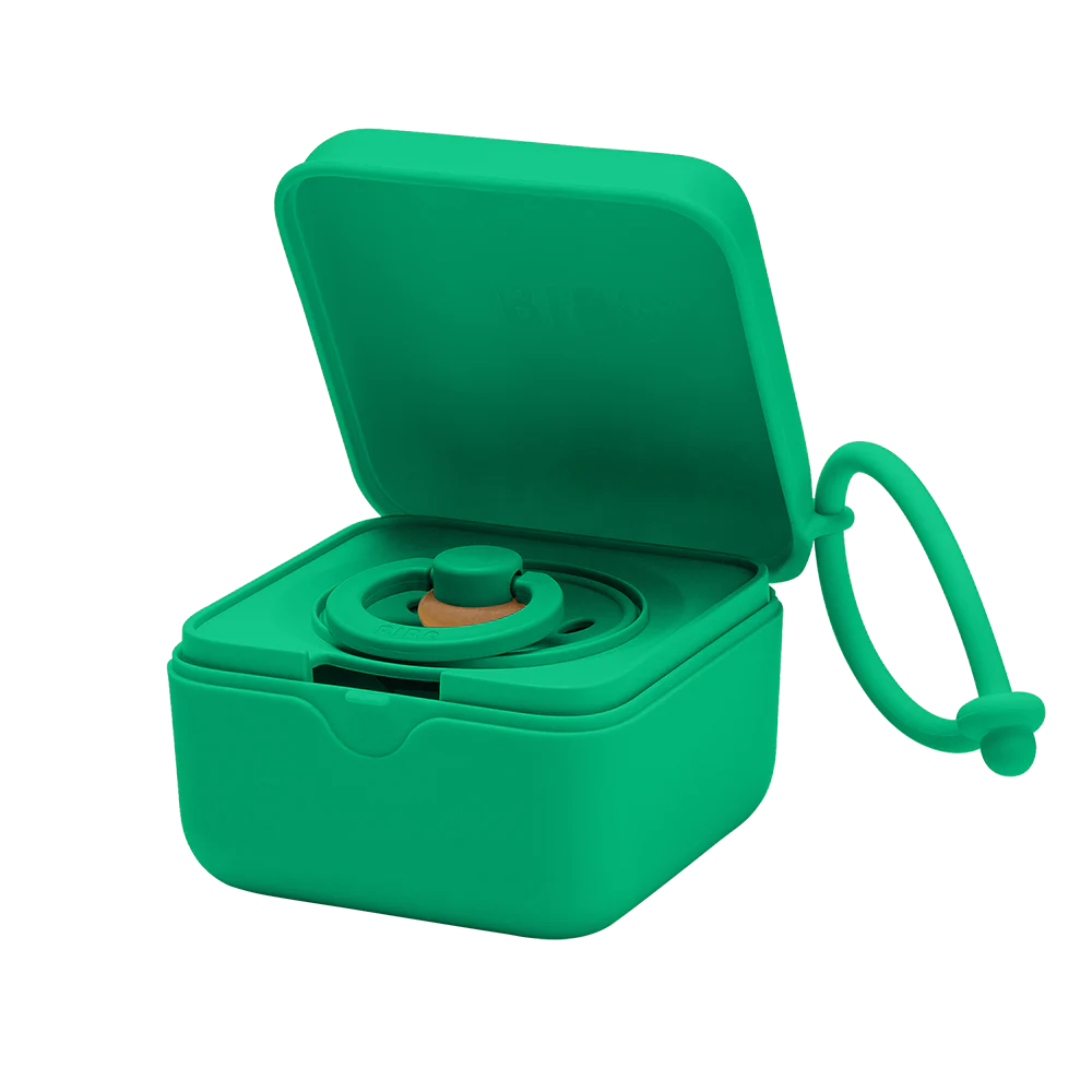 Pacifier Box Cactus