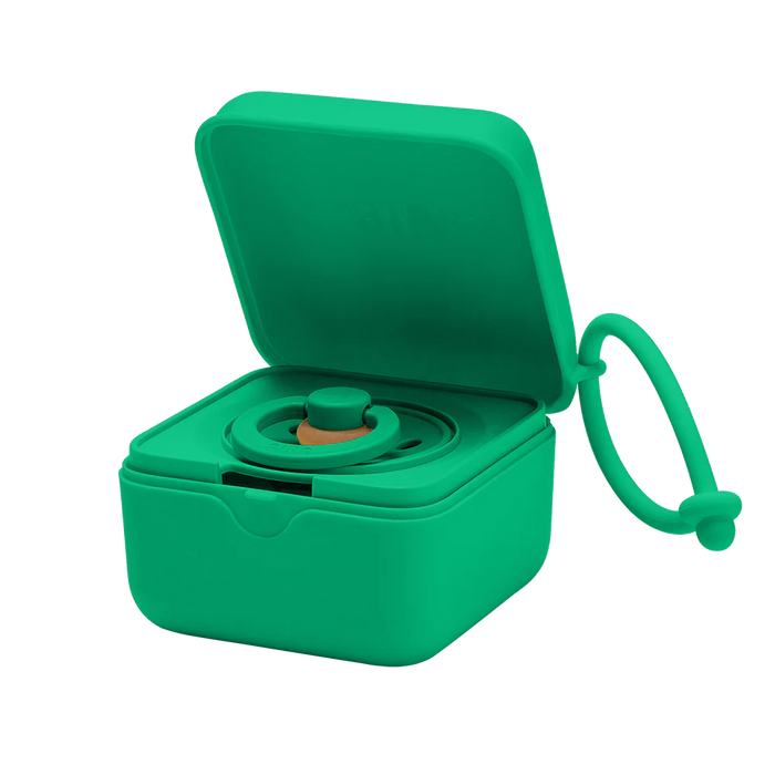 Pacifier Box Cactus