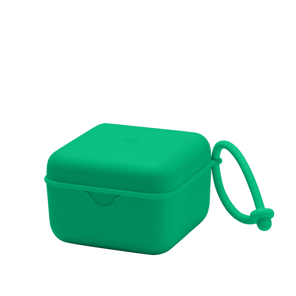 Pacifier Box Cactus