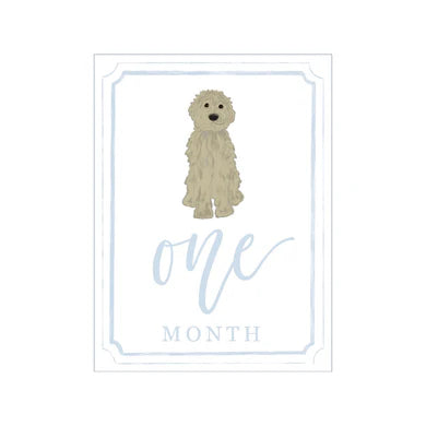 HAMNER HILL BLUE DOODLE MILESTONE CARDS