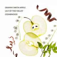 TOUCHLAND POWERMIST APPLEICIOUS