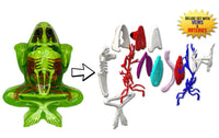 Dissect It Frog Lab  Plus