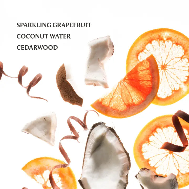 TOUCHLAND POWERMIST BEACH COCO