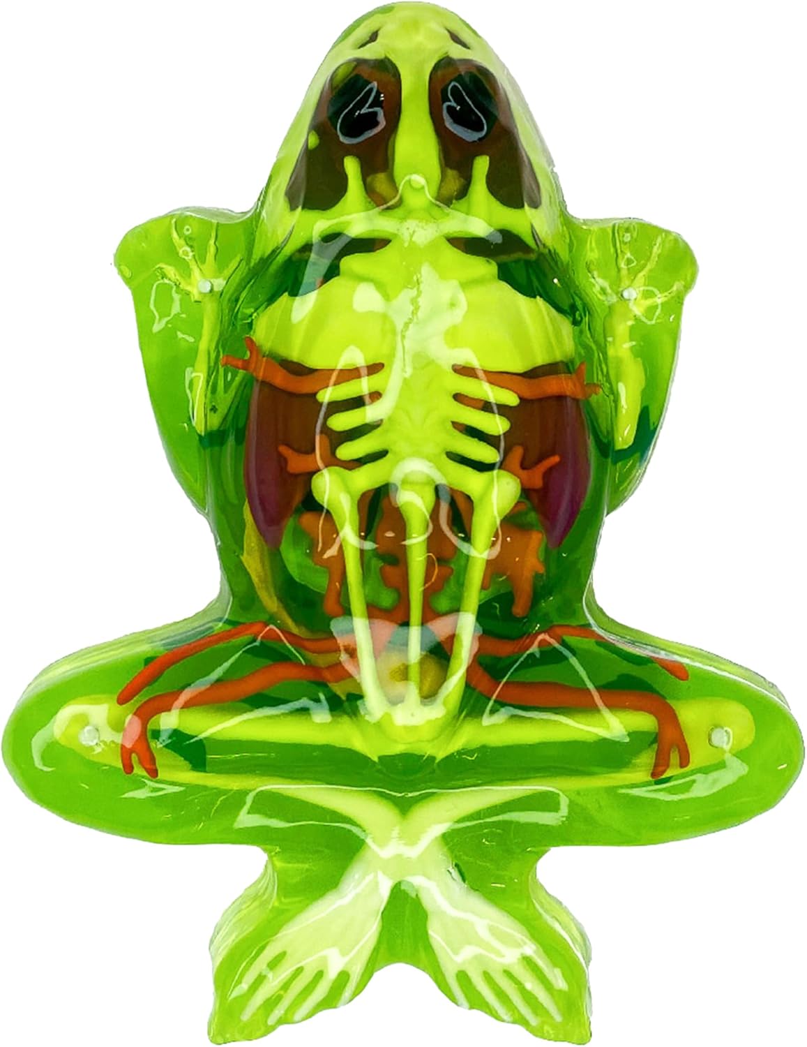 Dissect It Frog Super Lab