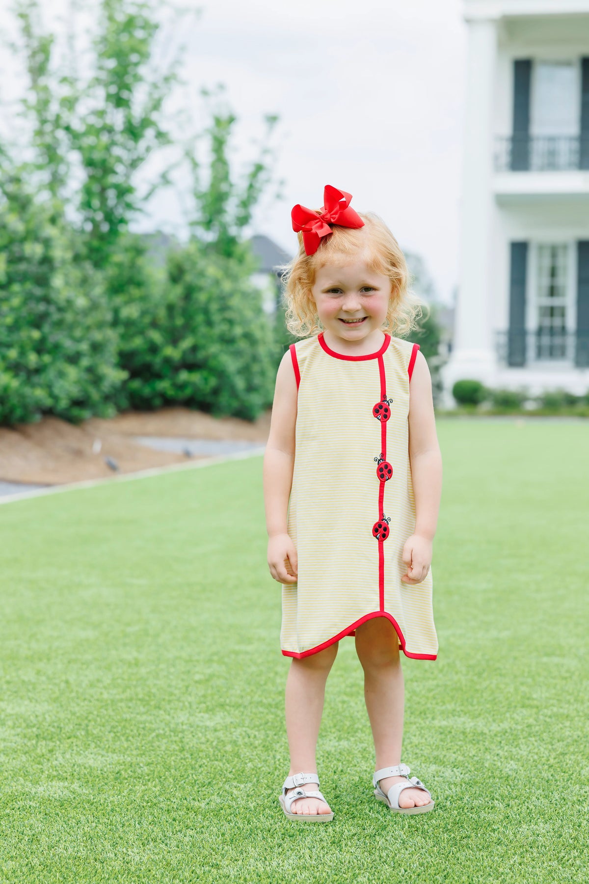 LOVELY LADYBUGS DRESS