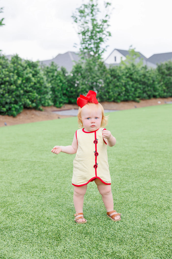 LOVELY LADYBUGS DIAPER SET