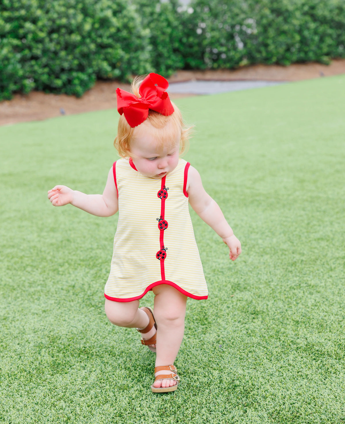 LOVELY LADYBUGS DIAPER SET