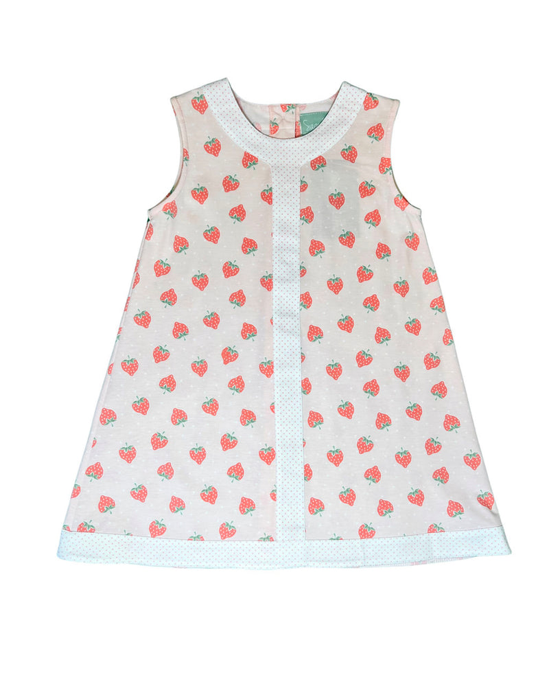 SAGE & LILLY STRAWBERRY A LINE DRESS