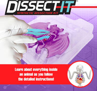 Dissect It Bat