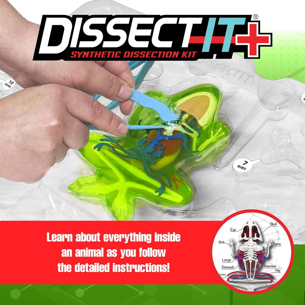 Dissect It Frog Super Lab
