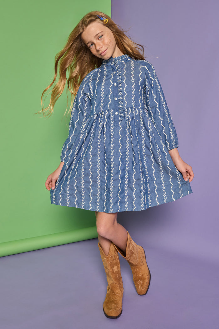 Amelia Dress Chamonix Chambray Embroidery