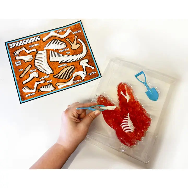 Discover It Dino Dig
