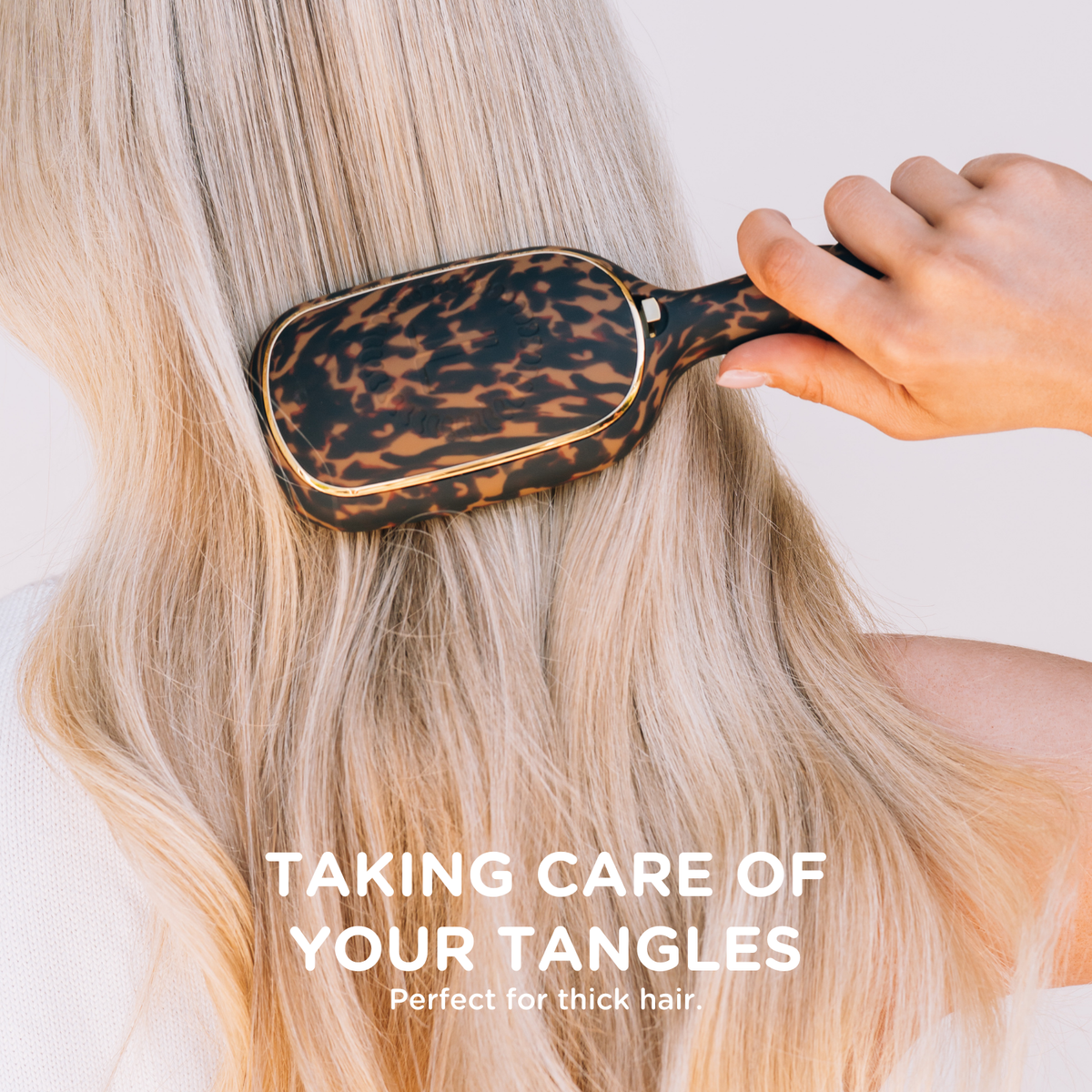 Detangler Hair Brush for Thick Hair Tortoise