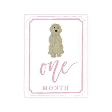 HAMNER HILL PINK DOODLE MILESTONE CARDS