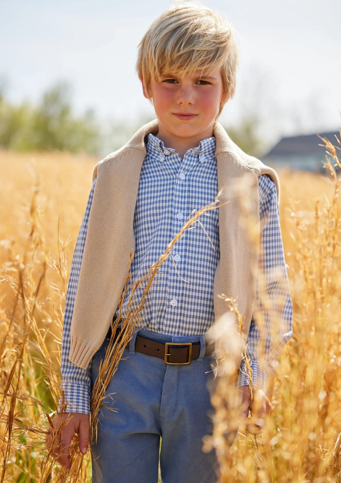 Little English Button Down Shirt Grey Blue Gingham