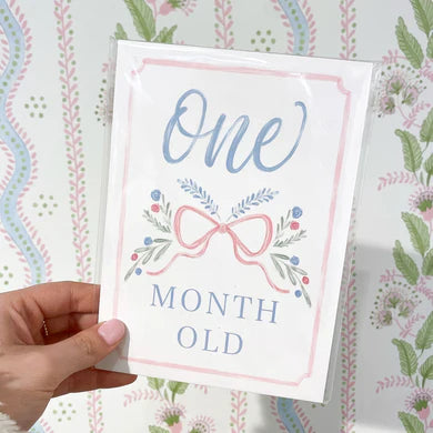 HAMNER HILL PRETTY IN PINK MILESTONE CARDS