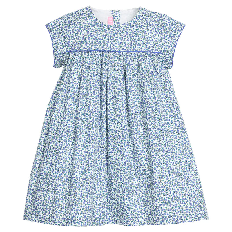 BISBY CHARLOTTE DRESS DILLON DITSY