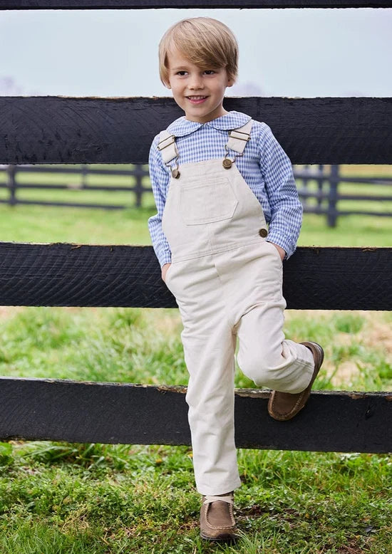 Little English Peter Pan Shirt Gray Blue Gingham