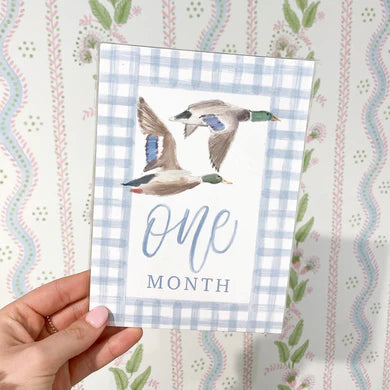 HAMNER HILL FLYIN' SOUTH MILESTONE CARDS