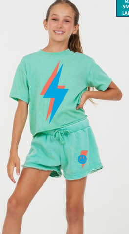 VINTAGE HAVANA SURF GREEN HEATHER FLEECE SHORT W/TWILL TAPE