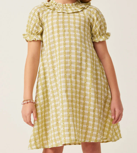 HAYDEN GIRLS TEXTURED GINGHAM AND DOT BIB DRESS