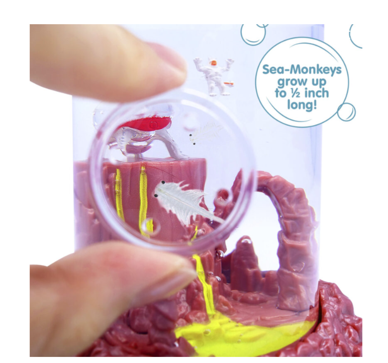 SEA-MONKEY ON MARS
