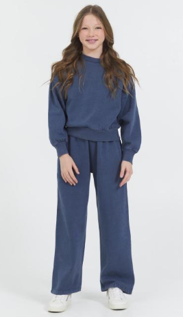 VINTAGE HAVANA WASHED BLUE FLEECE CREWNECK