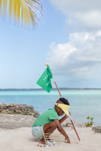 TBBC CARTER CREWNECK GIBSON ISLAND GREEN