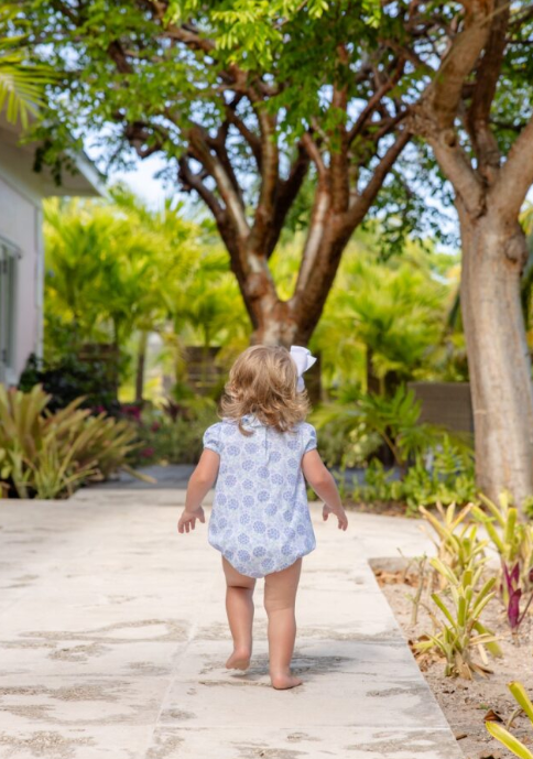 RAMONA RUFFLE BUBBLE HANDFUL OF HYDRANGEAS