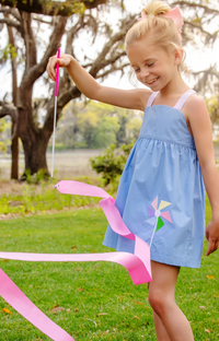Macy Drew Dress Broadcloth Park City Periwinkle