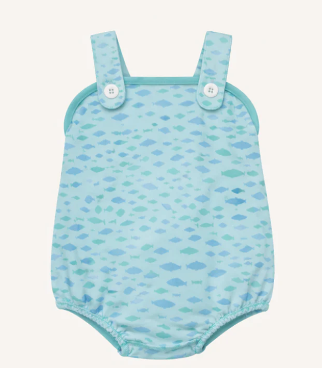 BINGHAM BUBBLE PIMA SARASOTA SCHOOL OF FISH