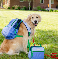 Barbados Blue/Beale Street Blue Backpack